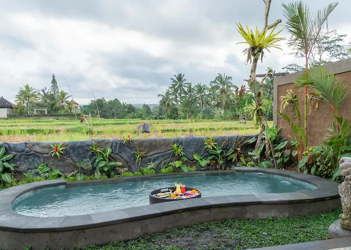 Seelong Ubud By Dhananjaya Hospitality * Tampaksiring
