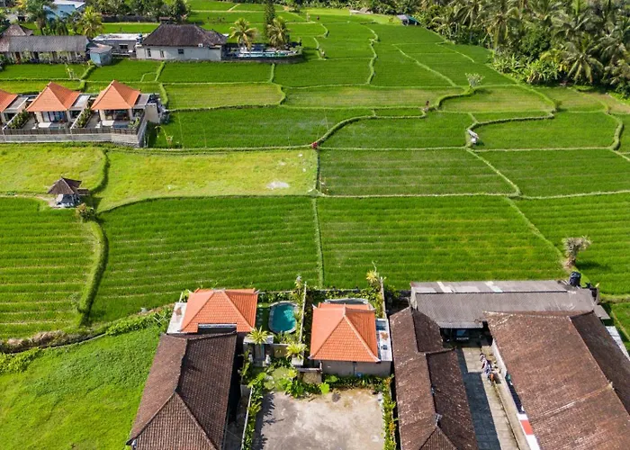 Seelong Ubud By Dhananjaya Hospitality * Tampaksiring