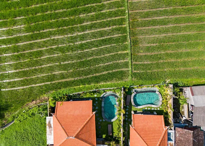 Seelong Ubud By Dhananjaya Hospitality Tampaksiring